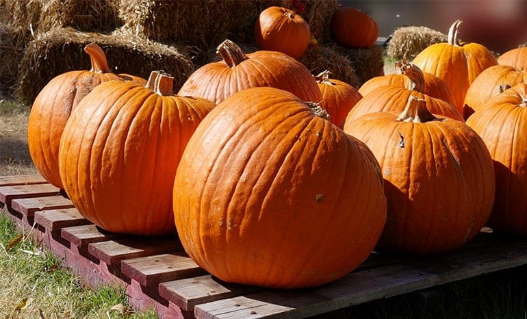 3 Tricks to Transforming Used Pallets