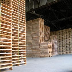 stacks of pallets in warehouse