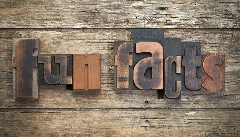 10 Surprising Pallet Facts You Need to Know