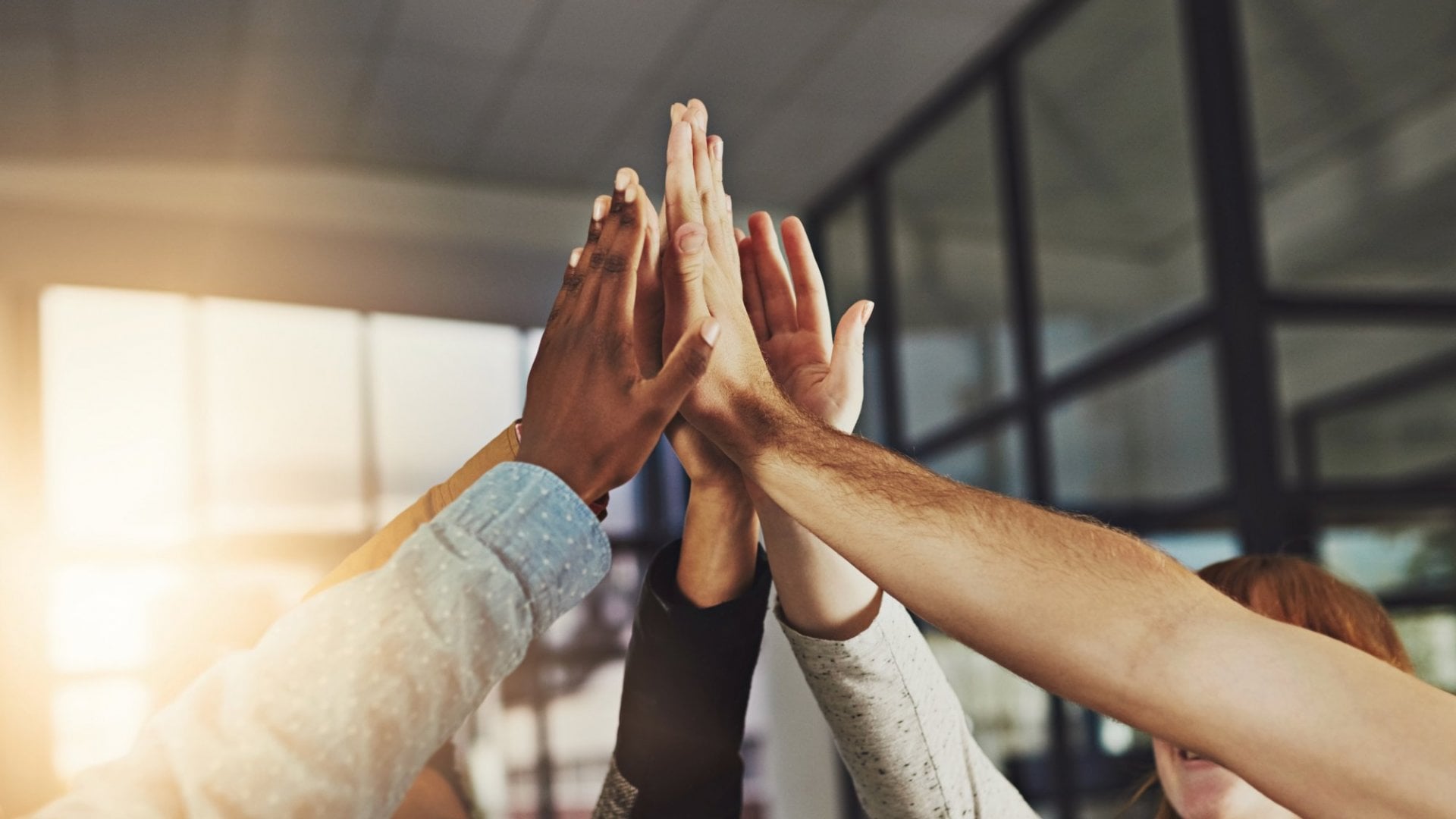 Small Businesses that Move the World