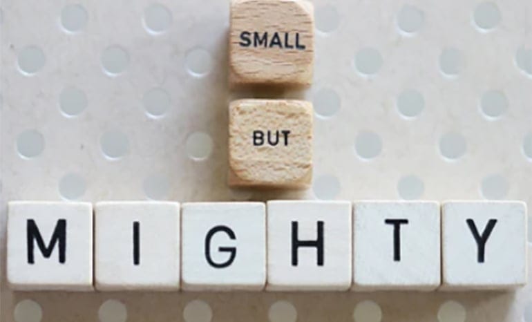 Small but Mighty – Benefits of Doing Business with Independent Pallet Providers