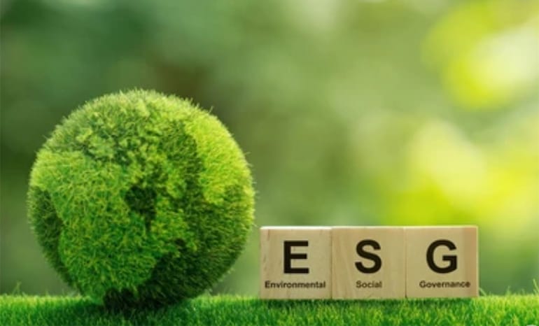 Get a Move on Your ESG Goals with Help from Pallets