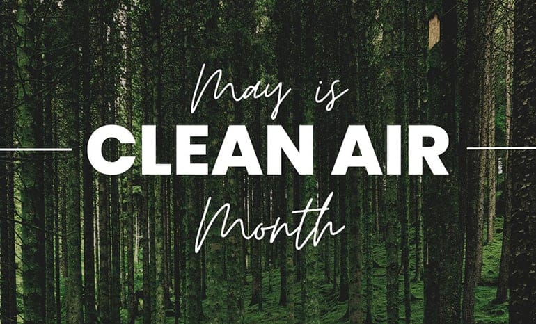 Forest Management is Essential to Clean Air