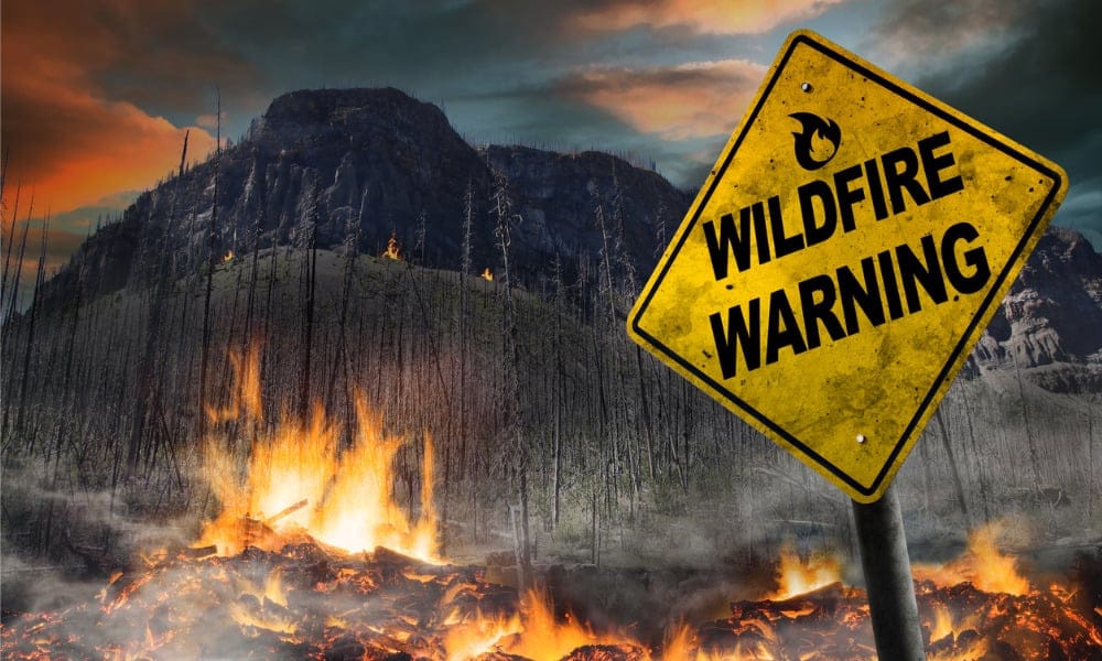 Wildfire Awareness Month