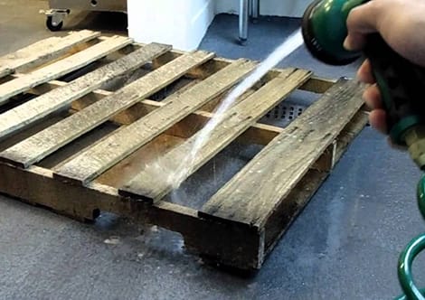 spraying a wooden pallet with a hose for mold