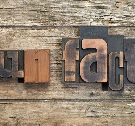 fun facts on wooden plaque