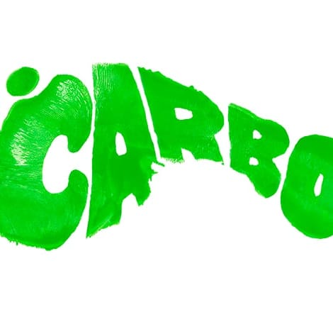 carbon footprint