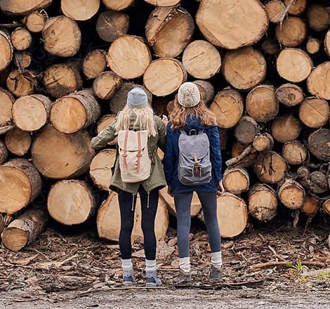 two females staring at wood