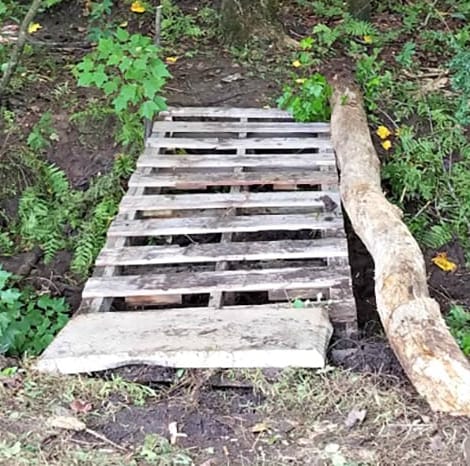 wooden pallets making a bridge in the woods