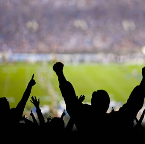 people cheering at sports game