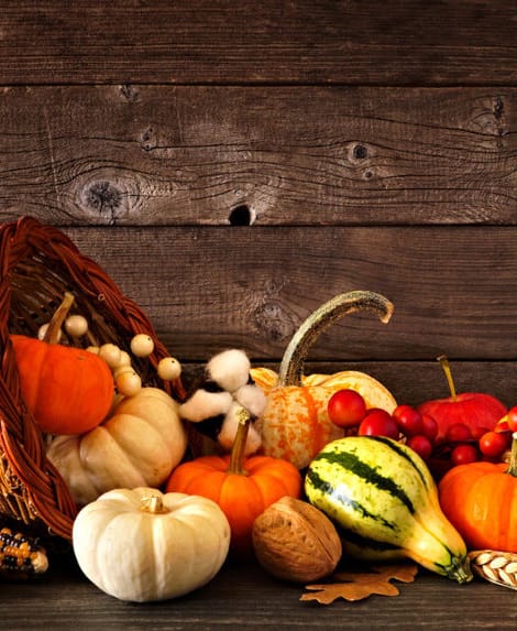 thanksgiving decor