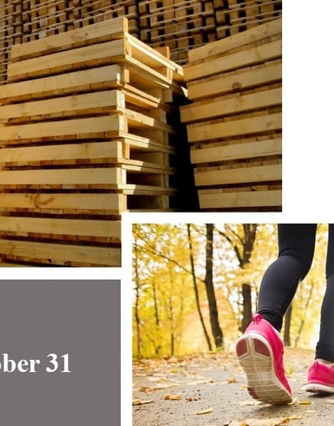 pallet foundation virtual race