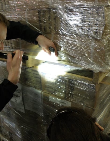pallet exporting regulations