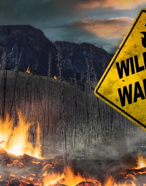 wildfire prevention