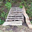 wooden pallets making a bridge in the woods