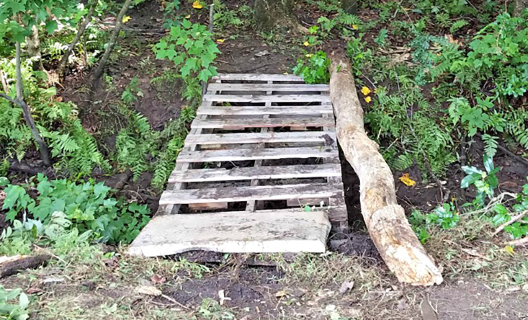 wooden pallets making a bridge in the woods