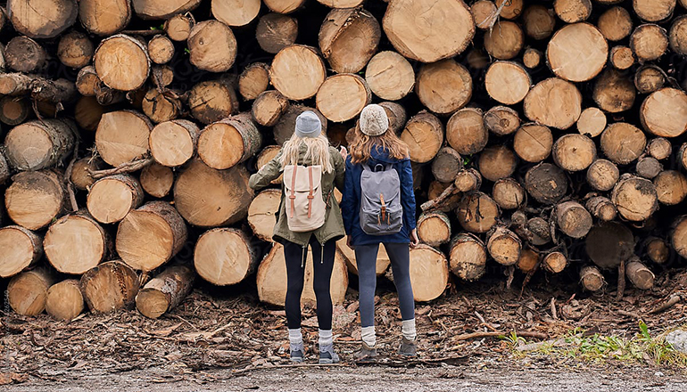 two females staring at wood